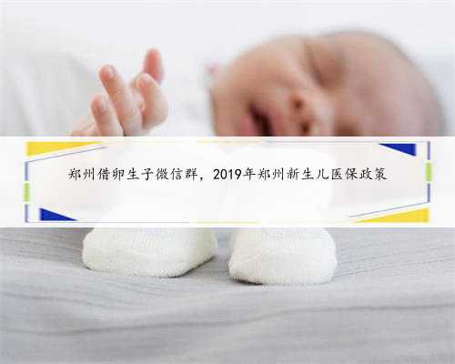 郑州借卵生子微信群，2019年郑州新生儿医保政策