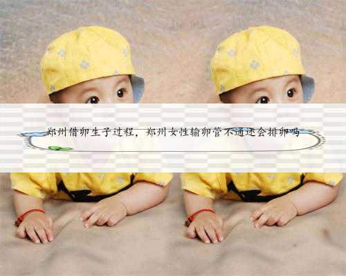 郑州借卵生子过程，郑州女性输卵管不通还会排卵吗